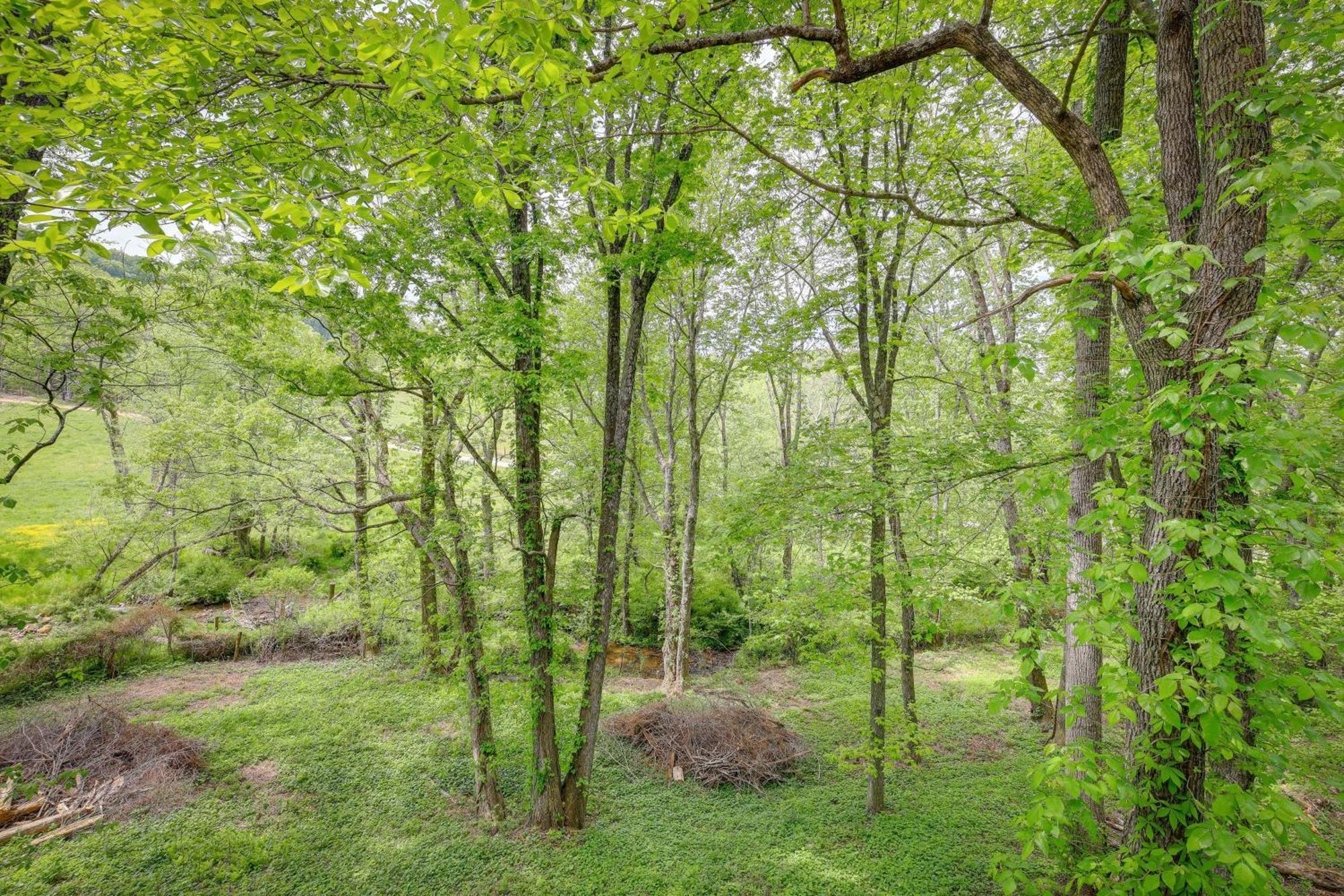 Quaint Blue Ridge Cabin Rental With On-Site Stream! Sparta ภายนอก รูปภาพ